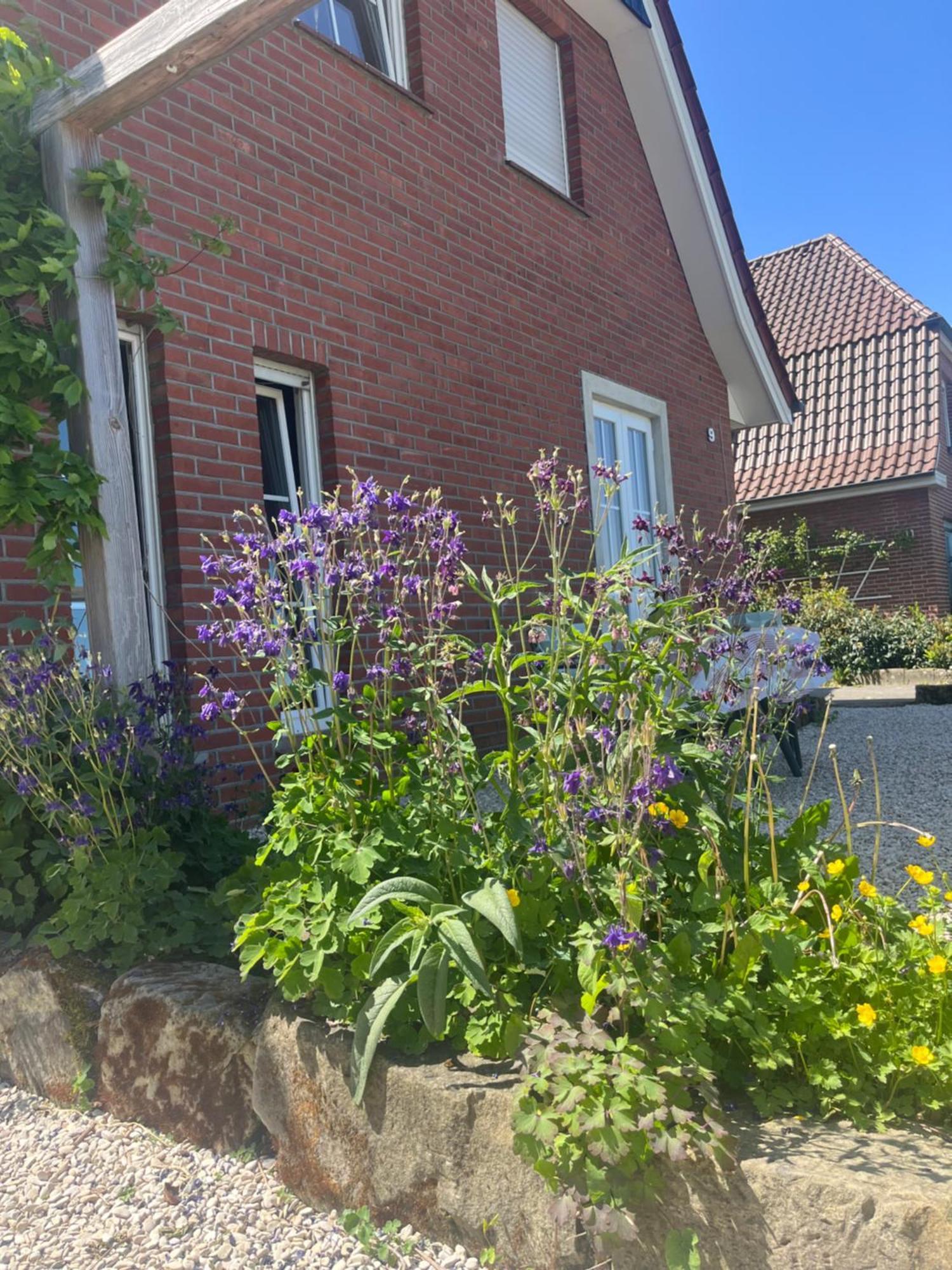 Ferienwohnung Waldseite Bad Bentheim Exteriér fotografie